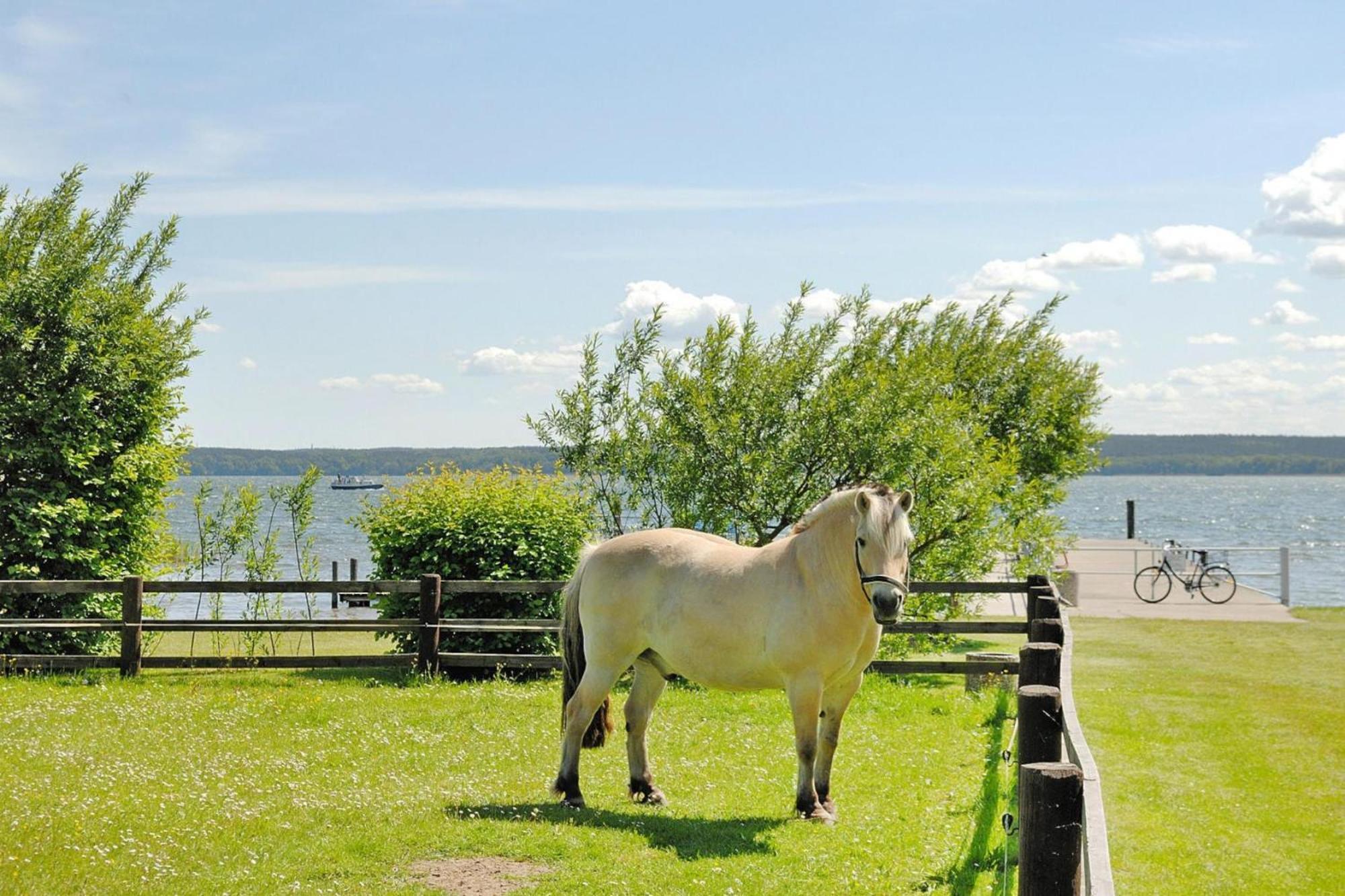 Seepark Heidenholz Plau Am See Exterior foto